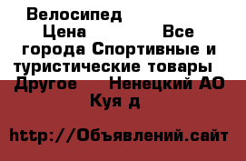 Велосипед Viva Castle › Цена ­ 14 000 - Все города Спортивные и туристические товары » Другое   . Ненецкий АО,Куя д.